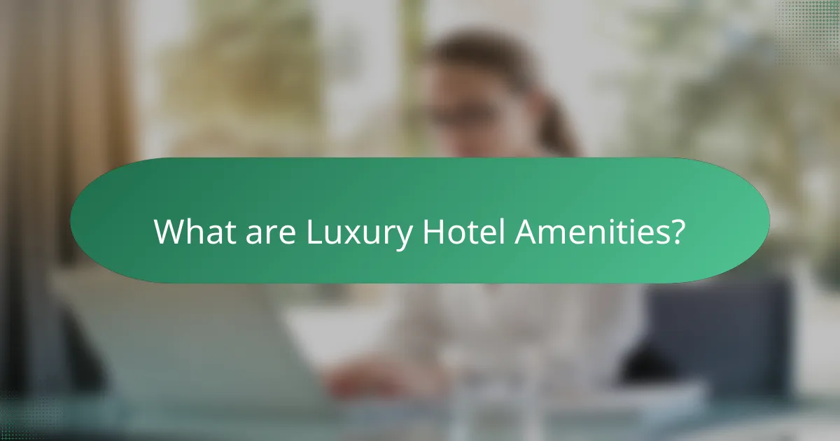 What are Luxury Hotel Amenities?