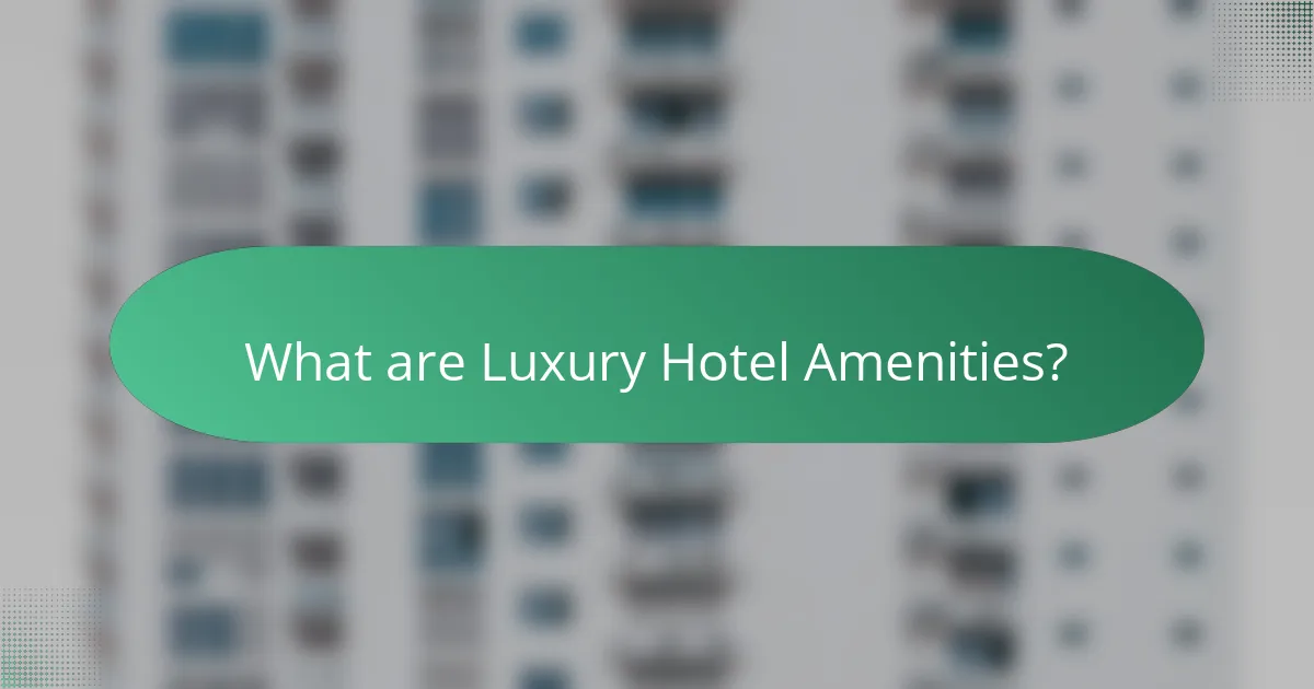 What are Luxury Hotel Amenities?